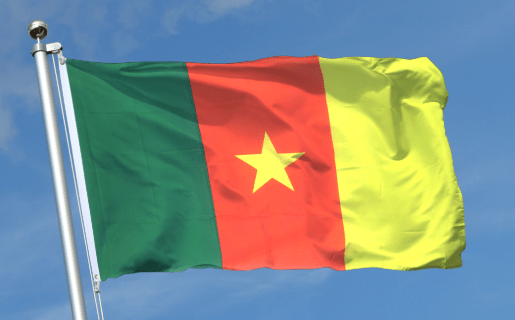 DrapeauCameroun