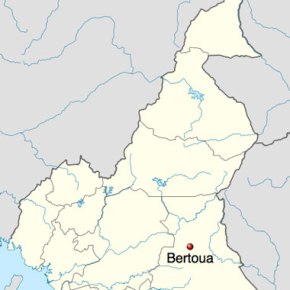 Cameroun :  Nouvelle arrestation massive de personnes soupçonnées d’être&nbsp;homosexuelles